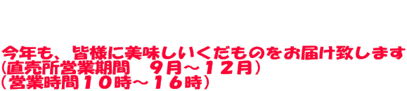    今年も、皆様に美味しいくだものをお届け致します (直売所営業期間　９月～１２月） （営業時間１０時～１６時）